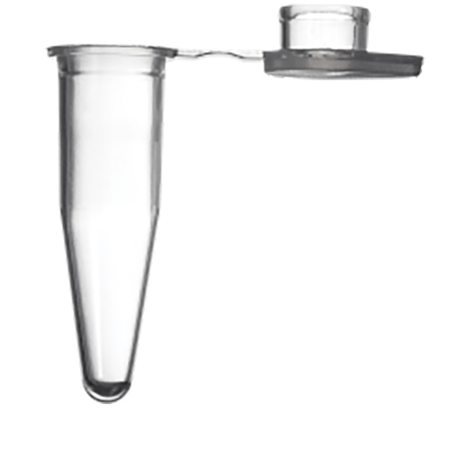 0.2 mL PCR Tube